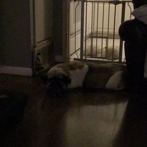 Meet your Posher, Fernando